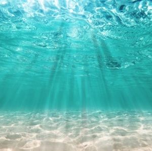 Meet your Posher, Sandy